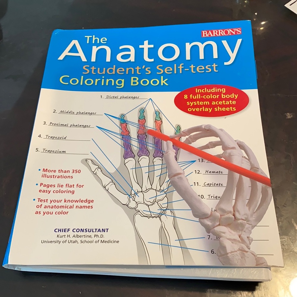 Anatomy practice book